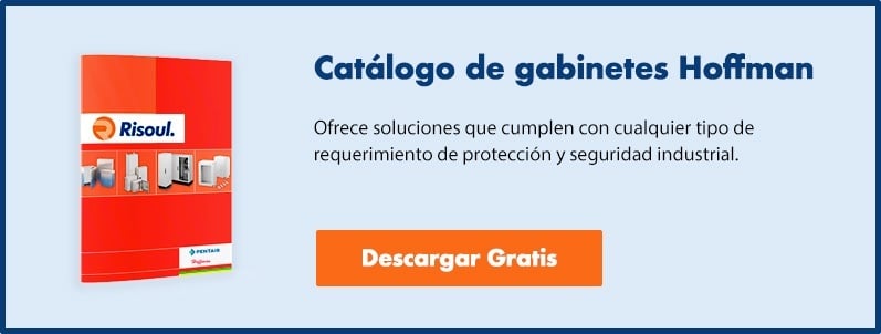 Descargar Ebook - Hoffman