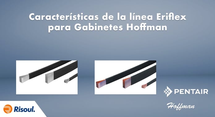 Características de la línea Eriflex de Gabinetes Hoffman