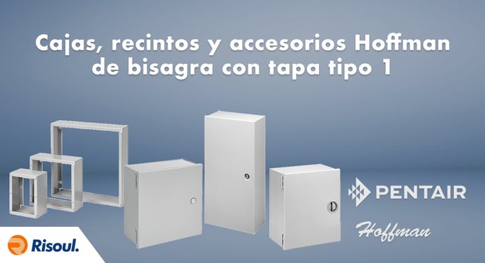 Cajas, recintos y accesorios Hoffman de bisagra con tapa tipo 1