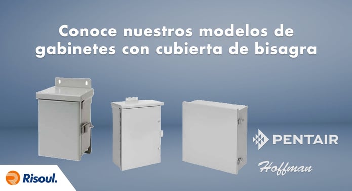 Conoce nuestros modelos de gabinetes Hoffman con cubierta de bisagra