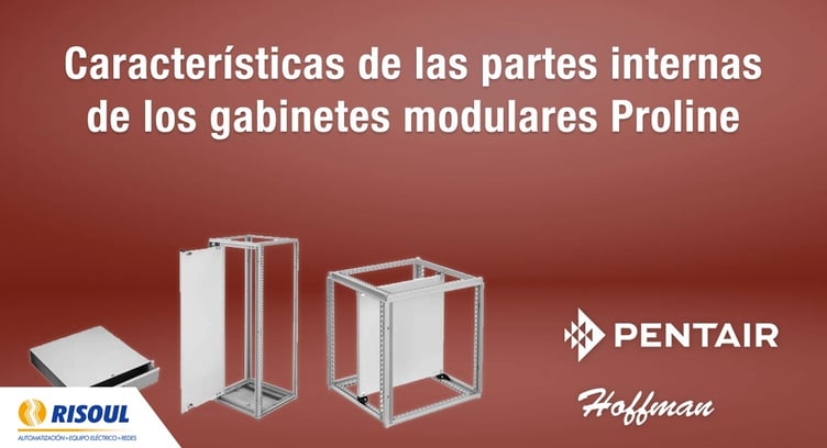 caracteristicas de las partes internas de los gabinetes modulares proline hoffman 2.jpg