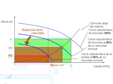 Lateral-6