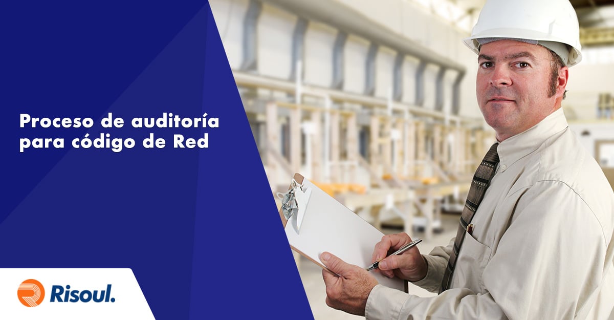 Proceso de auditoría para código de Red