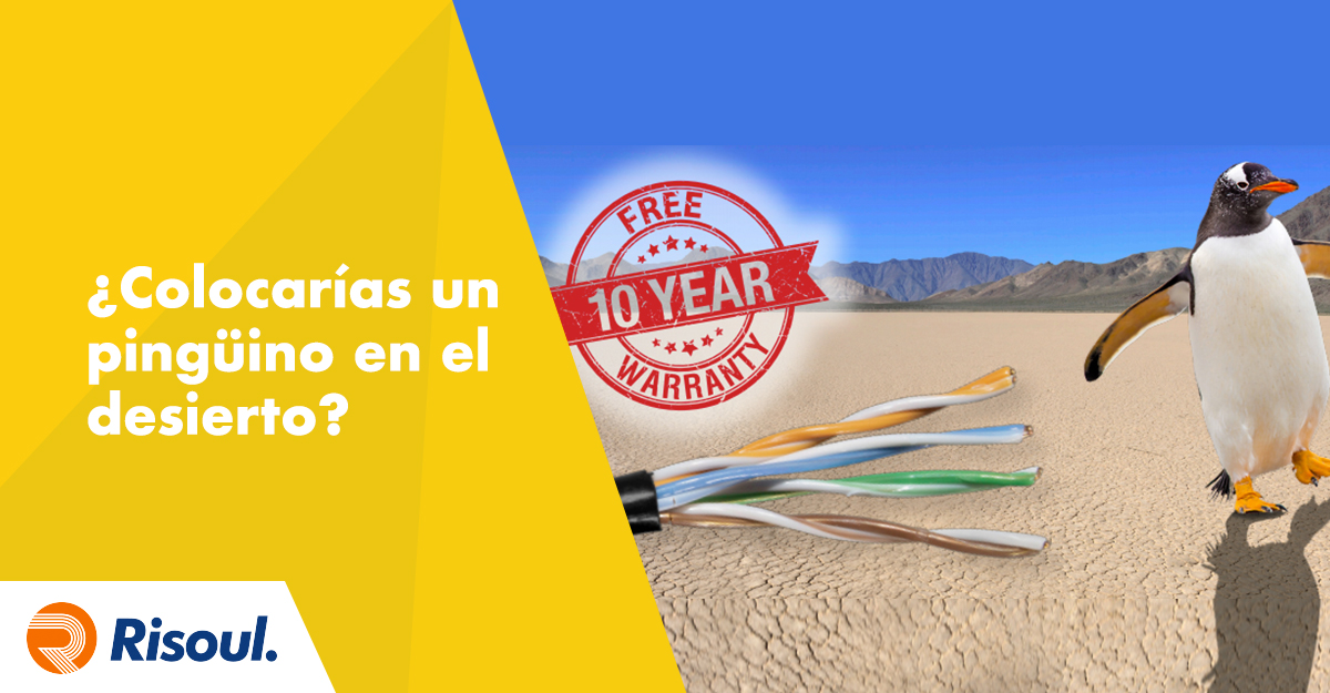 ¿Colocarías un pingüino en el desierto?