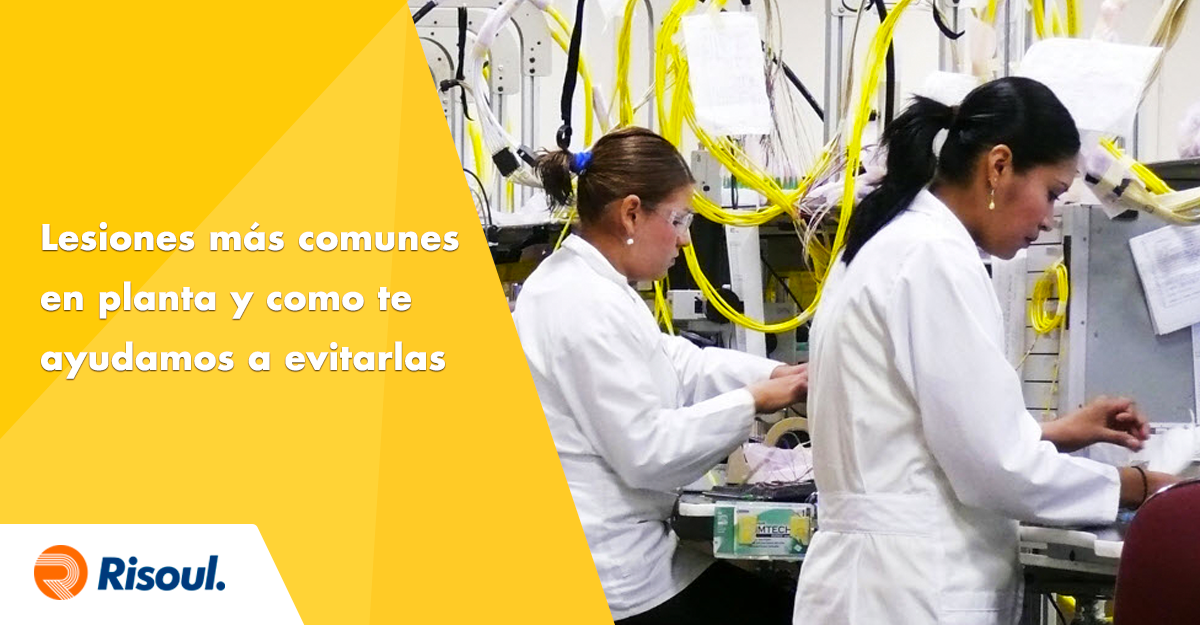 Lesiones más comunes en planta y como te ayudamos a evitarlas