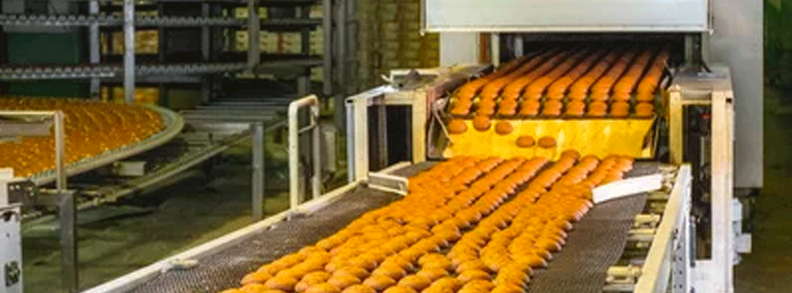 Crecimiento de estándares de mantenimiento en empresa galletera