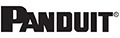 Pandiut