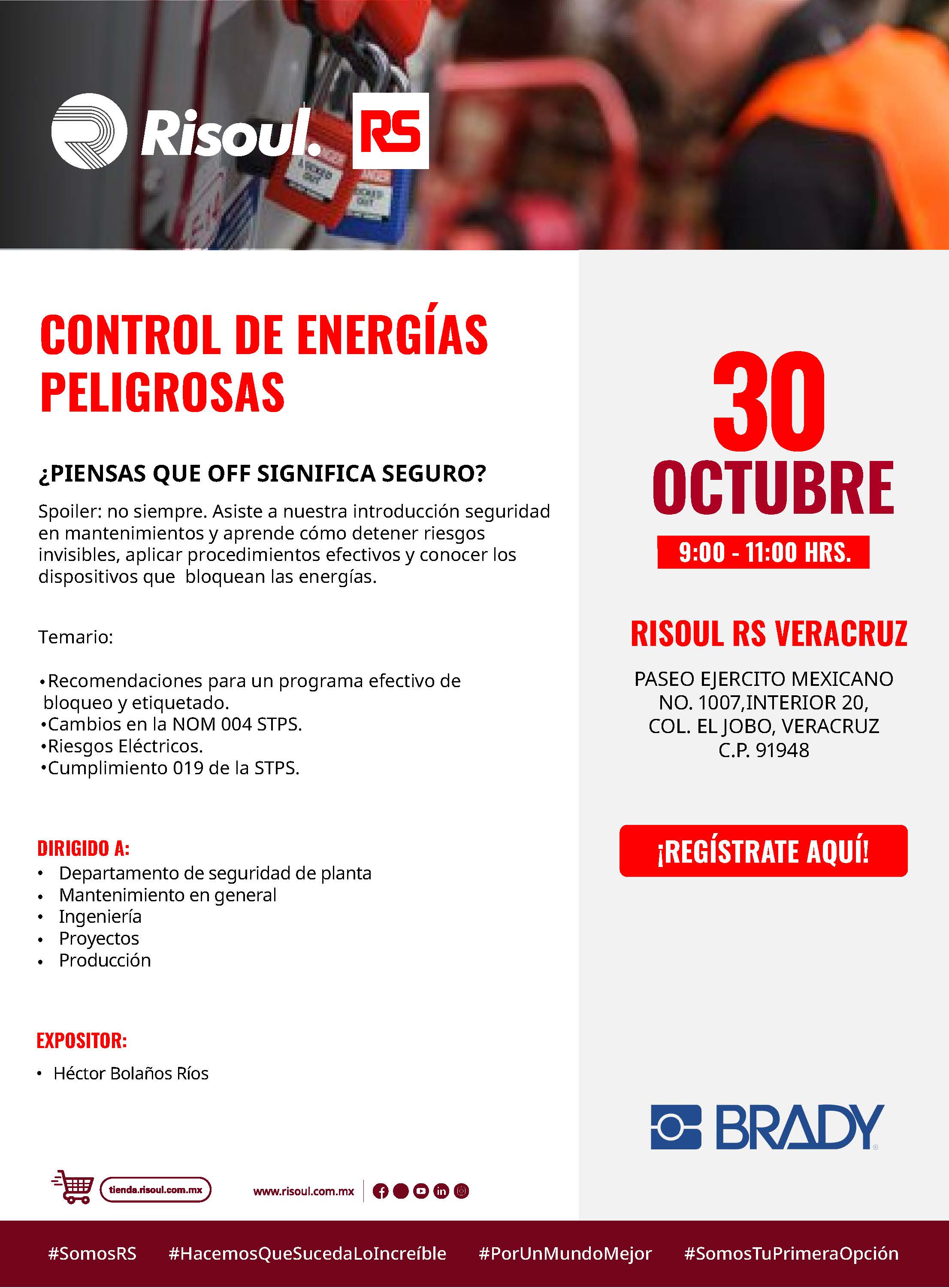 CALIDAD DE LA ENERGÍA Y SISTEMAS PARARRAYOS RisoulRS