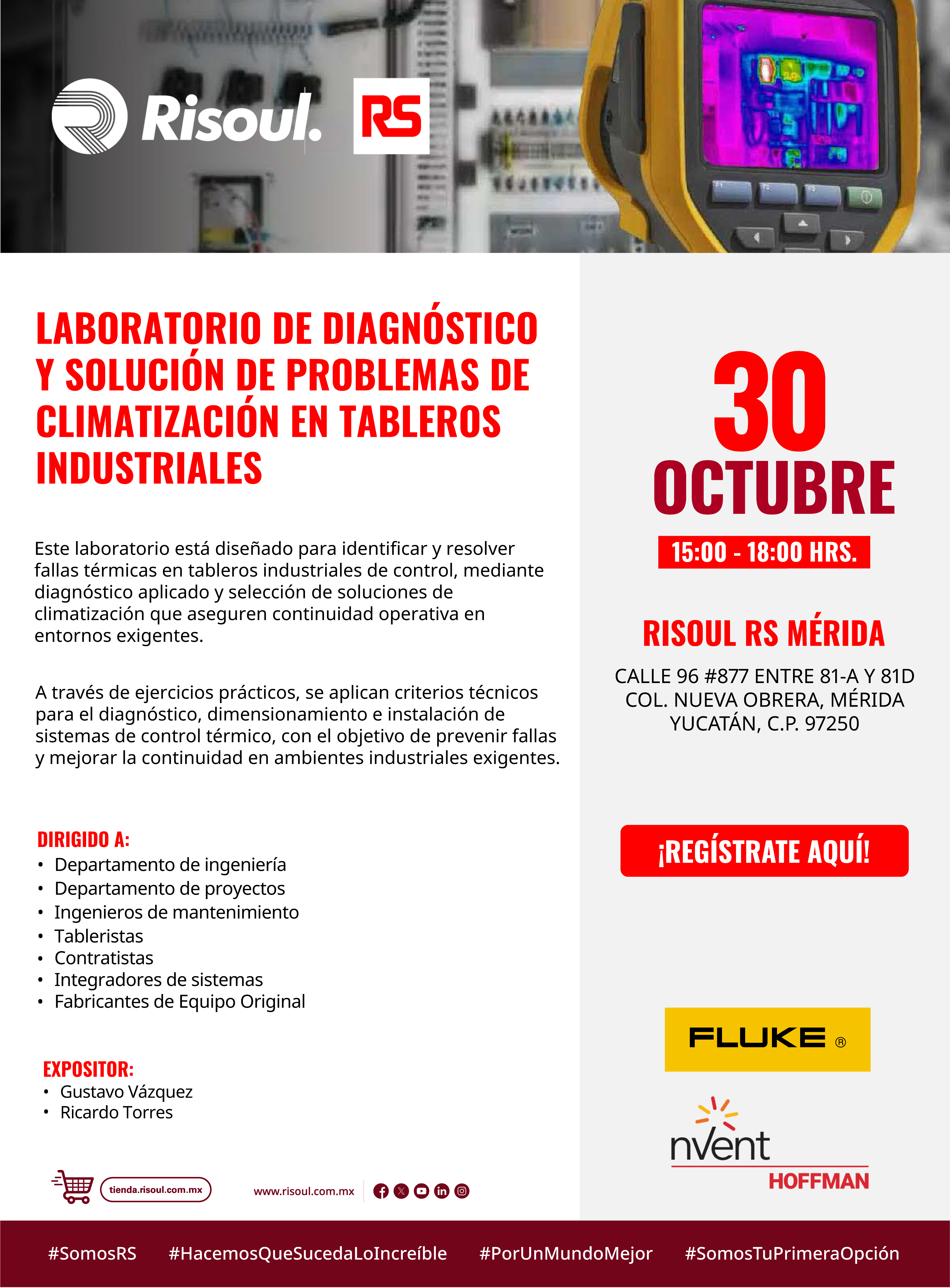 CALIDAD DE LA ENERGÍA Y SISTEMAS PARARRAYOS RisoulRS