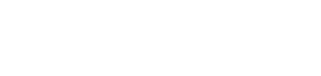 logo-remote-access-bco